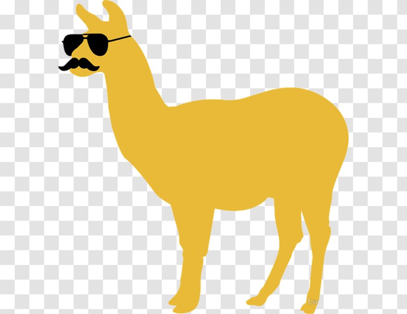 Llama Sunglasses Color Alpaca - Terrestrial Animal Transparent PNG