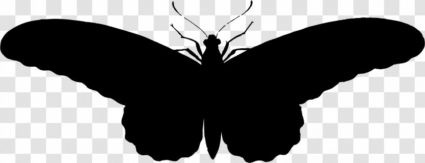 Butterfly Silhouette - Arthropod Transparent PNG