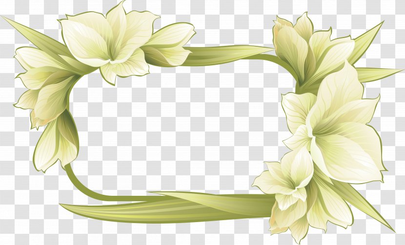 Picture Frames Flower - Round Transparent PNG