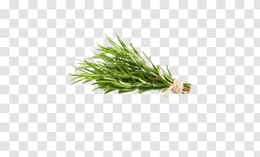 Rosemary Herb Food Health Oil - Camphor Transparent PNG