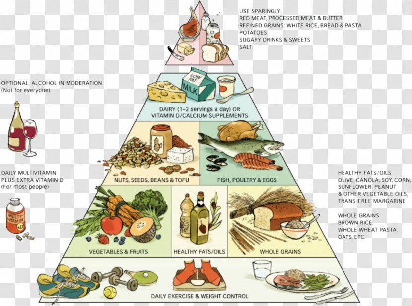 Food Pyramid Healthy Eating Diet Group - Nutrition Transparent PNG
