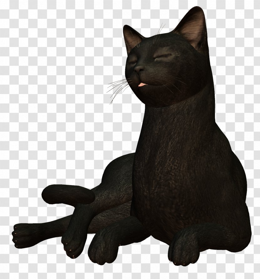 Black Cat - Bombay - Pet Transparent PNG