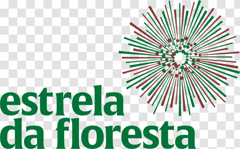 Logo Forest Font Star Angola - Text - Regulatory Compliance Transparent PNG