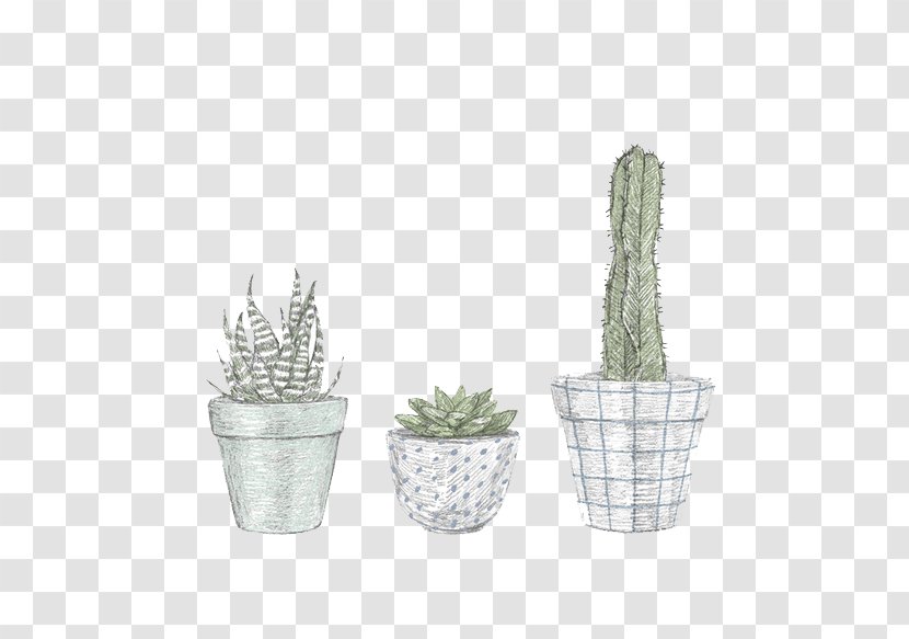 Cactaceae Illustrator Drawing Illustration - Hand Painted Cactus Transparent PNG
