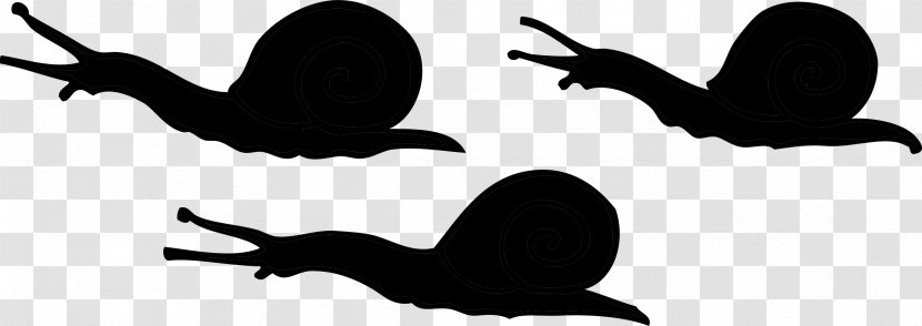 Beak Clip Art Silhouette Line Fauna - Tail Transparent PNG