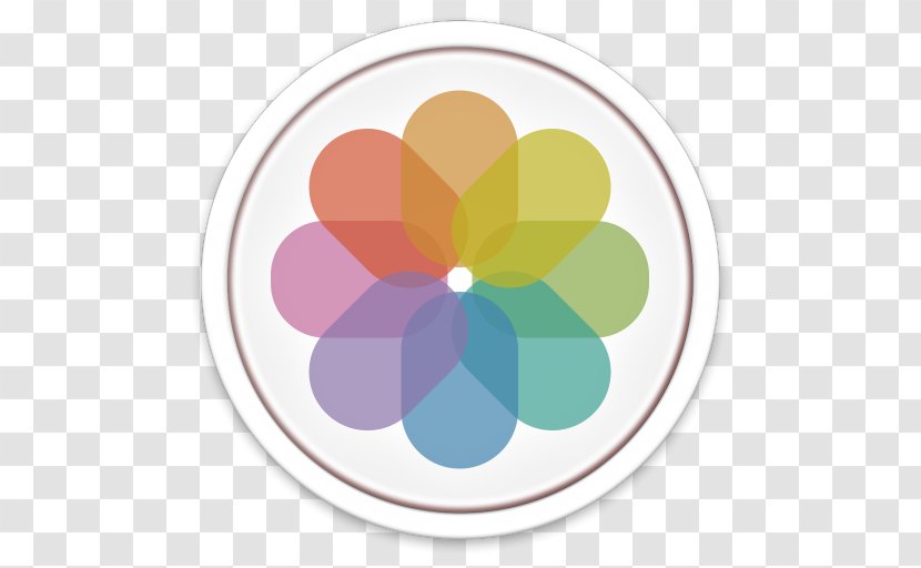 Petal Circle - User - Preview Transparent PNG