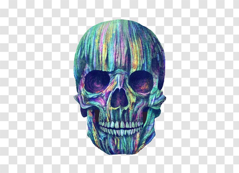 Human Skull Symbolism Color Calavera Skeleton Transparent PNG