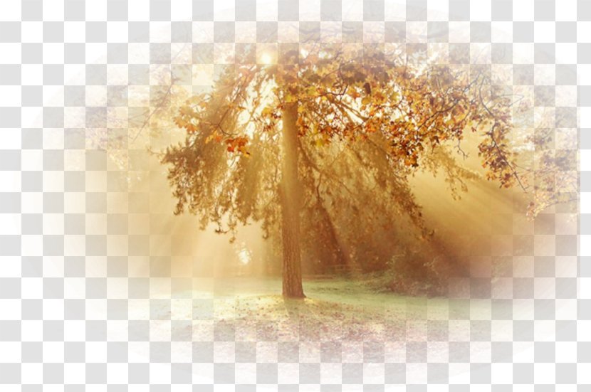 Landscape Painting Season - Autumn Transparent PNG