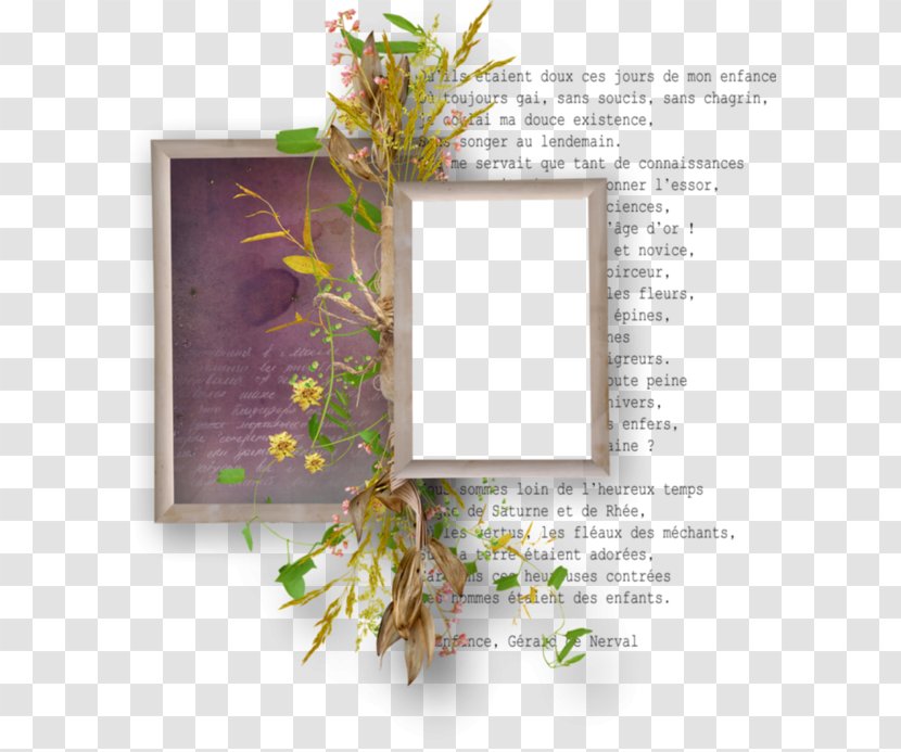 Image Design Leaf Picture Frames - Designer Transparent PNG