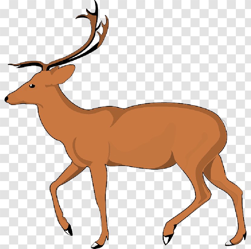 Debden Park High School Clip Art National Secondary Deer - Education - Brown Animal Transparent PNG