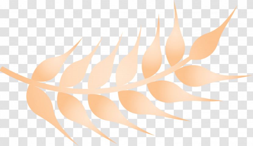 Wheat Ears Transparent PNG