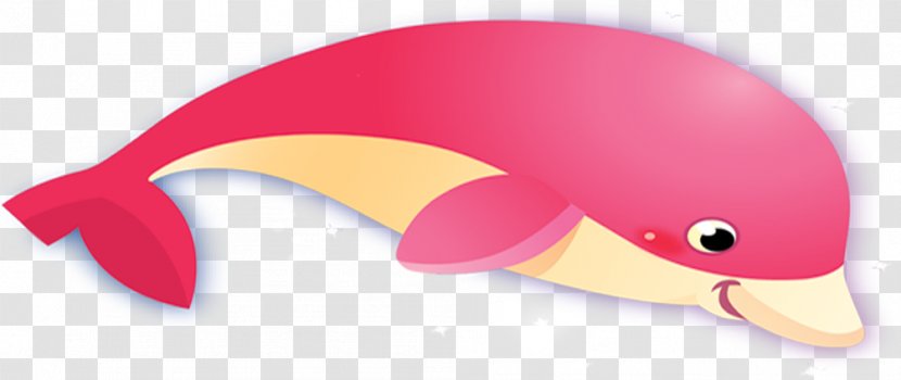 Dolphin Icon - Beak Transparent PNG