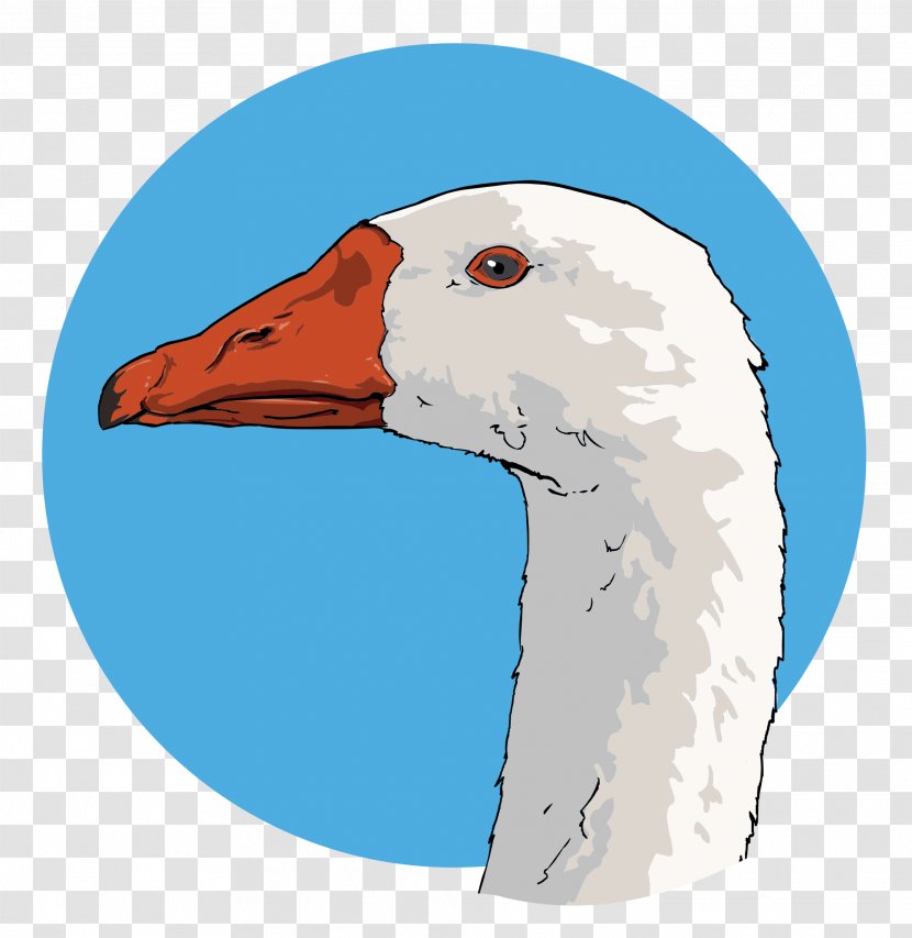 Goose Drawing Clip Art - Bird Transparent PNG