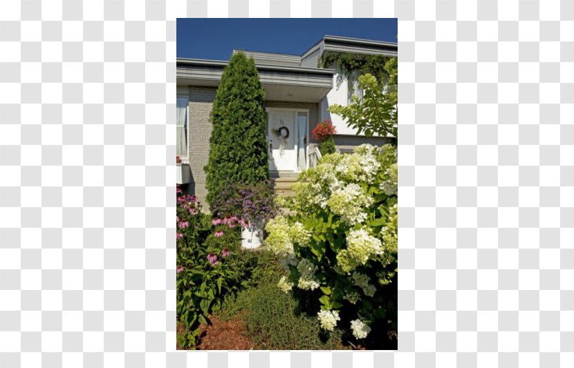 Property Residential Area Flower Meter Tree - Cottage Transparent PNG