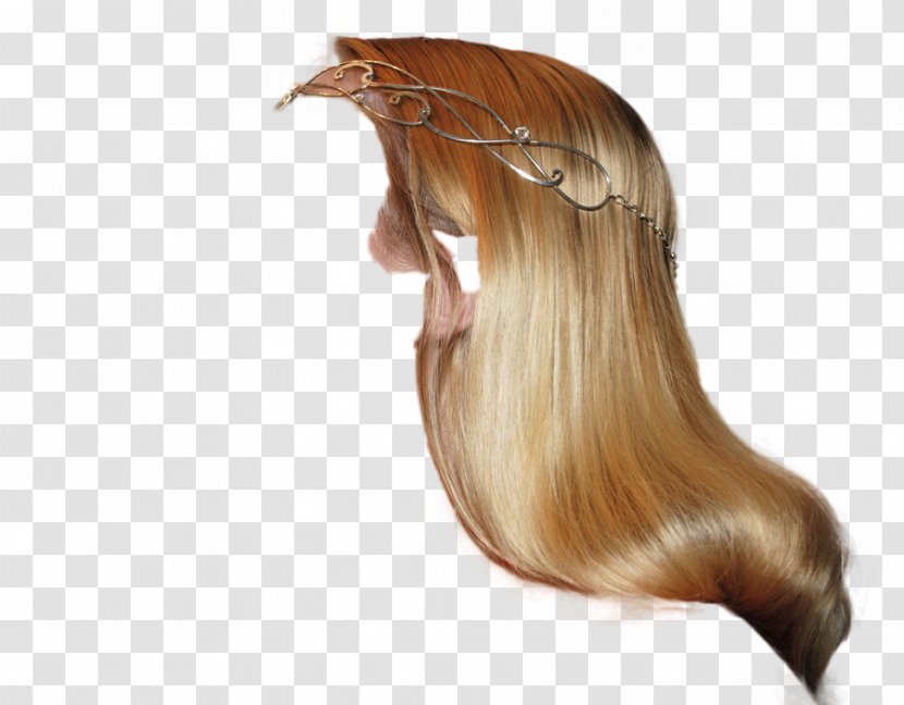 Wig Long Hair Coloring Transparent PNG