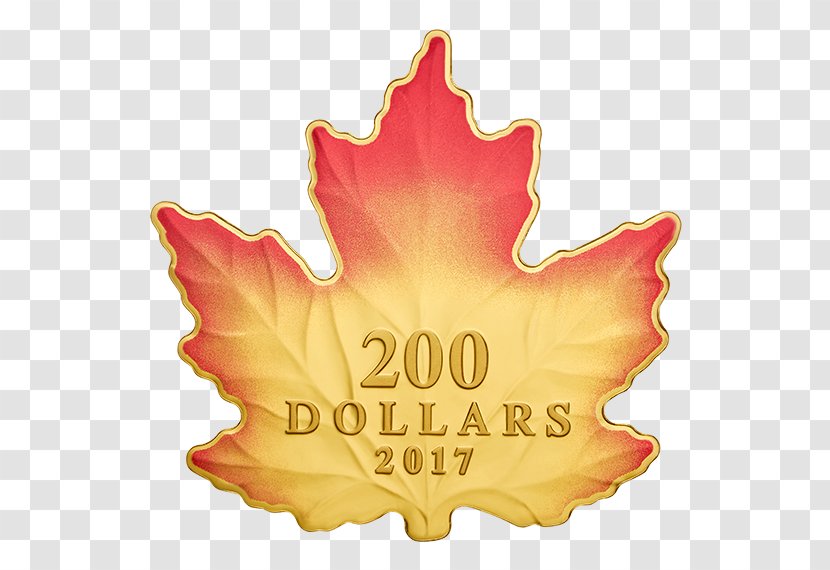 150th Anniversary Of Canada Canadian Gold Maple Leaf - Coin - Mid Autumn Pancake Transparent PNG