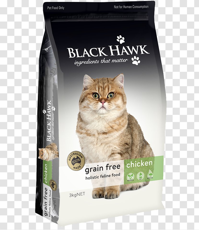 Cat Food Kitten Dog Hainanese Chicken Rice - Domestic Short Haired - Australian Transparent PNG