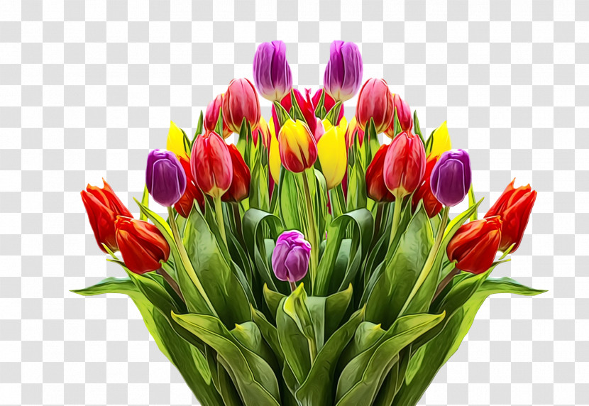 Floral Design Transparent PNG