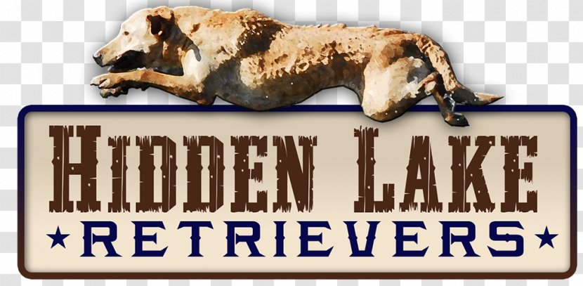 Anderson Labrador Retriever Hidden Lake Lane Brazosport - Carnivoran - Duck Transparent PNG