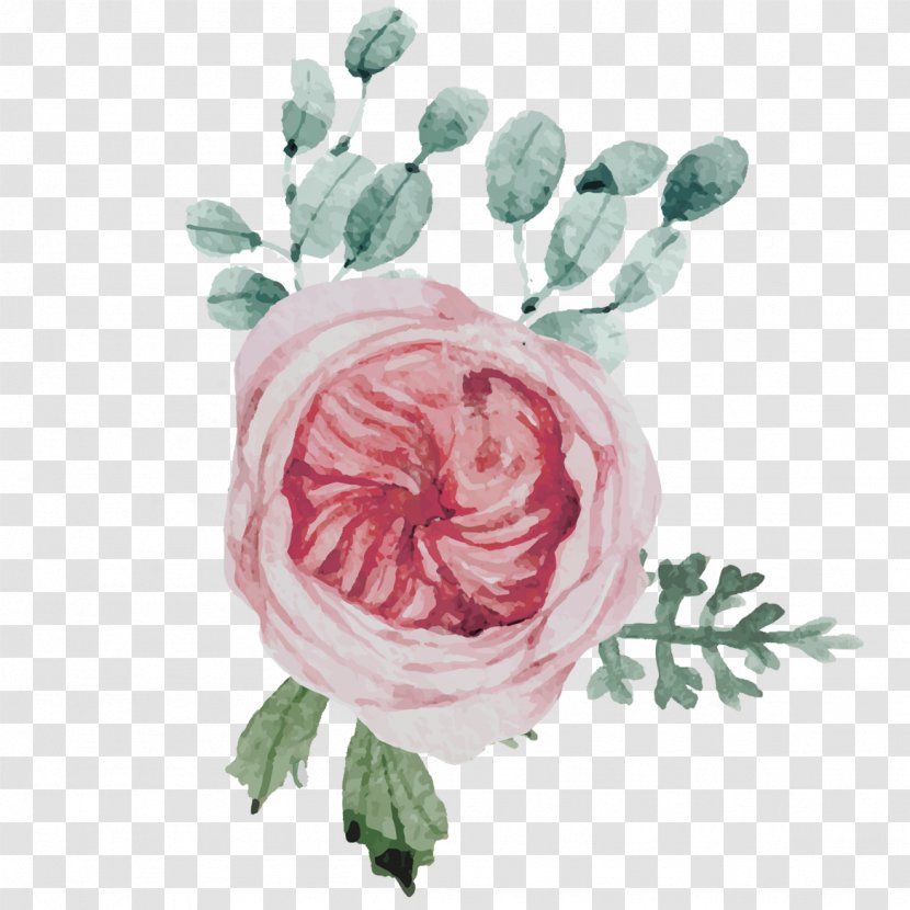 Garden Roses Flower Floral Design Centifolia - Petal - Watercolor Mother 's Day Decoration Material Transparent PNG