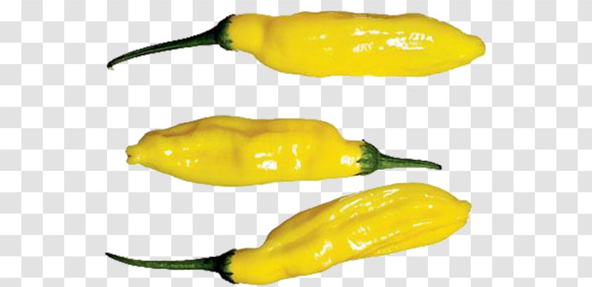 Habanero Serrano Pepper Jalapeño Pasilla Yellow - Chili - Lemon Orange Transparent PNG