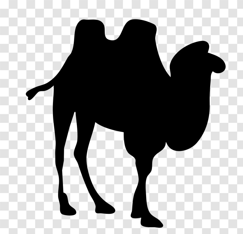 Bactrian Camel Dromedary Clip Art - Silhouette Transparent PNG