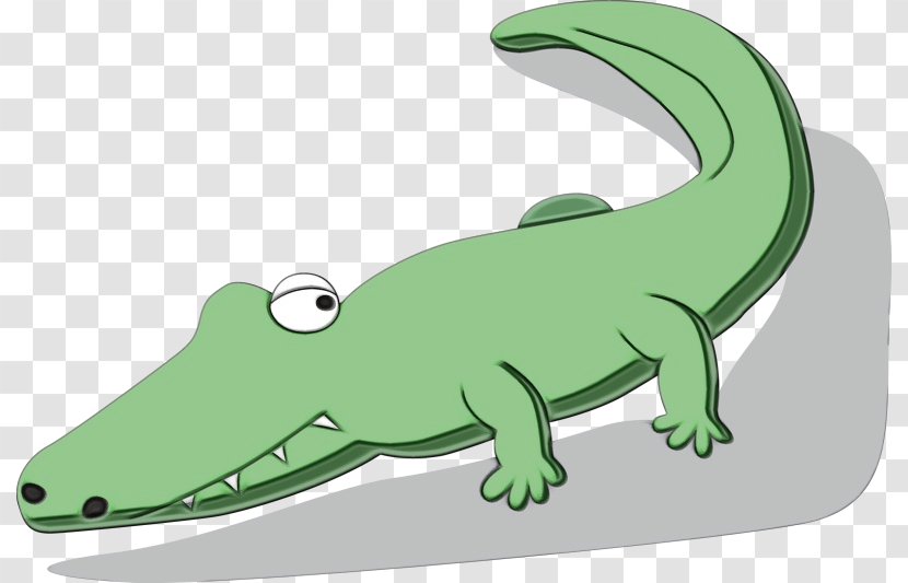 Crocodiles Lizard Amphibians Fauna Cartoon - Scaled Reptile Transparent PNG