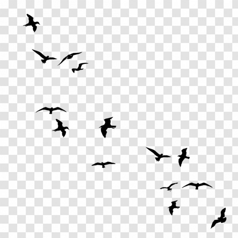 Bird Flight Silhouette Drawing Flock - Birds Flying Transparent PNG