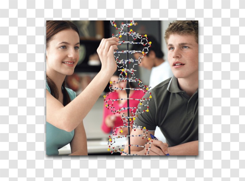 Science, Technology, Engineering, And Mathematics Teacher Education Career - Biology Transparent PNG