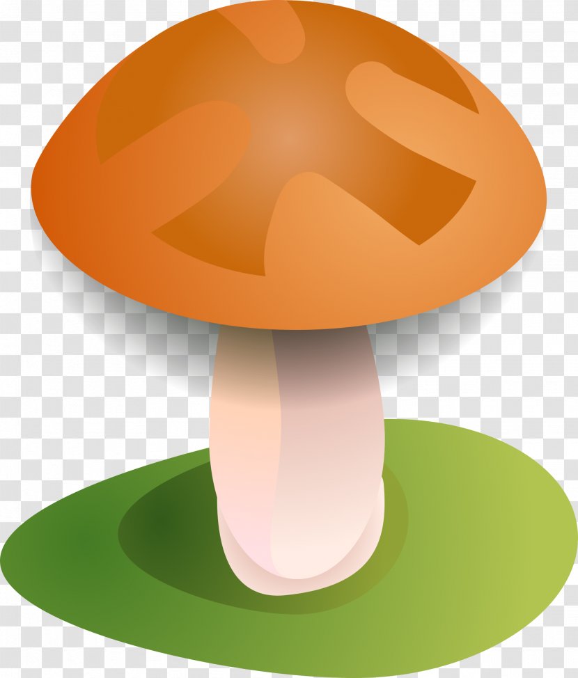 Amanita Muscaria Mushroom Fungus Agaric - Fungi Transparent PNG