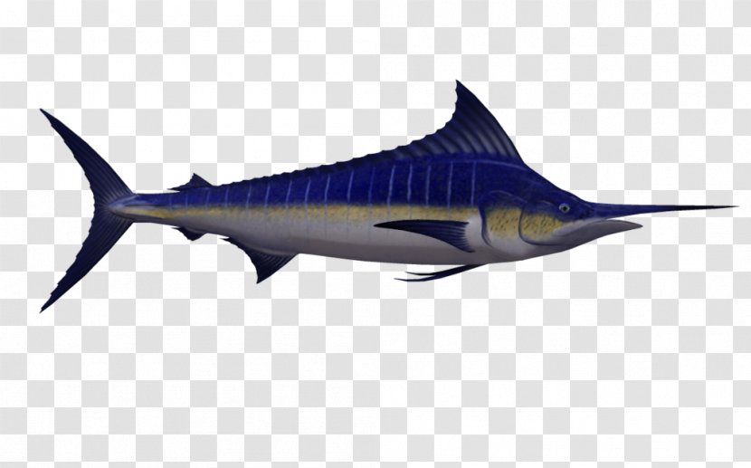 Swordfish Marlin Fishing - Billfish - Fish Transparent PNG
