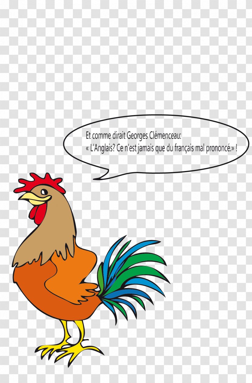 Rooster French Language English Vocabulary - Organism - Coq Transparent PNG
