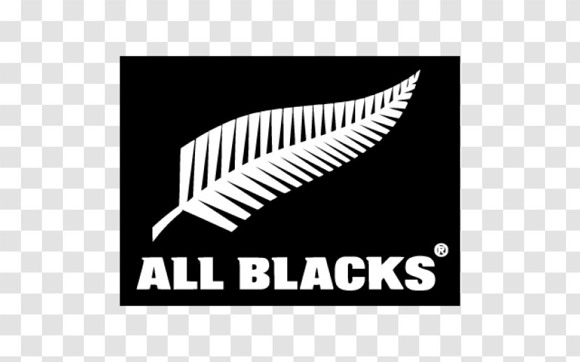 New Zealand National Rugby Union Team South Africa World Cup Transparent PNG