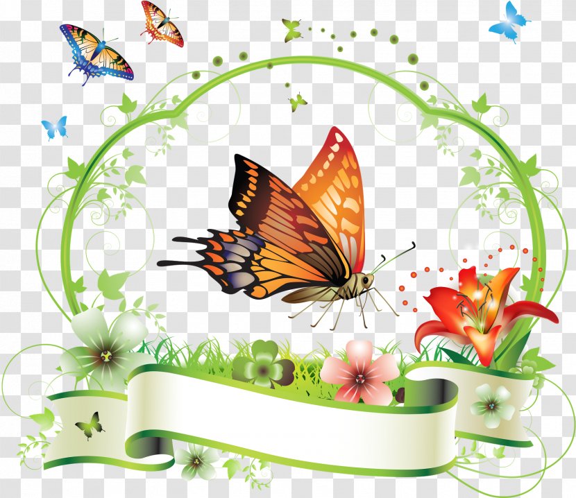 Butterfly Flower Floral Design Clip Art - Frame Transparent PNG