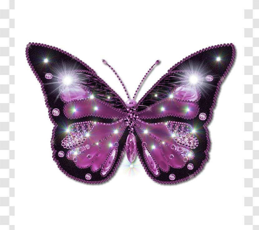 Butterfly Image File Formats Clip Art - Lilac Transparent PNG