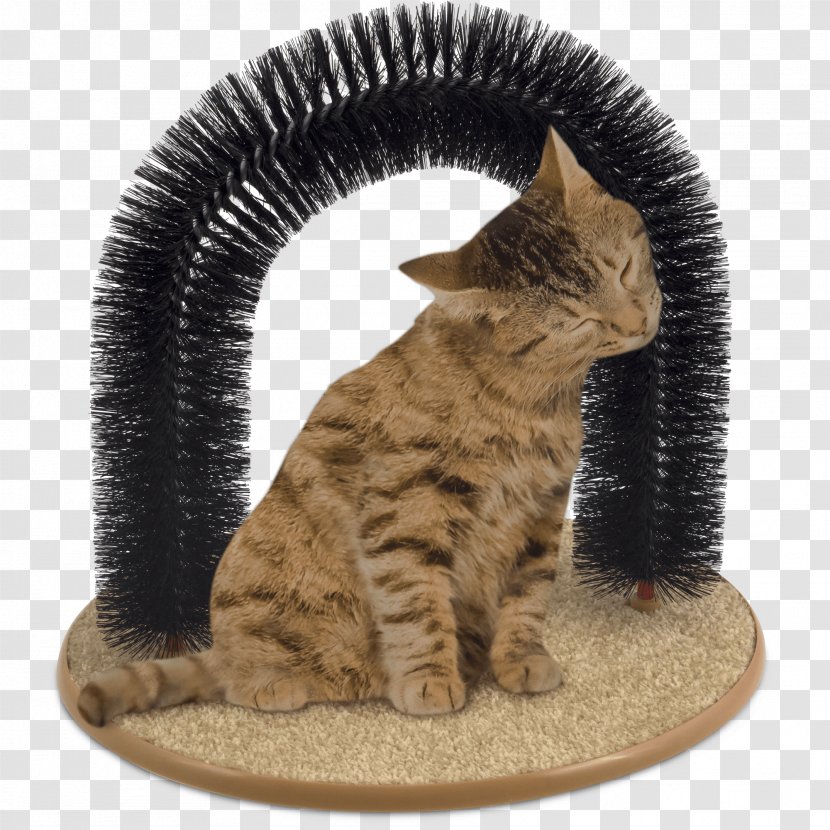 Cat Tree Dog Pet Leash - Play And Toys Transparent PNG