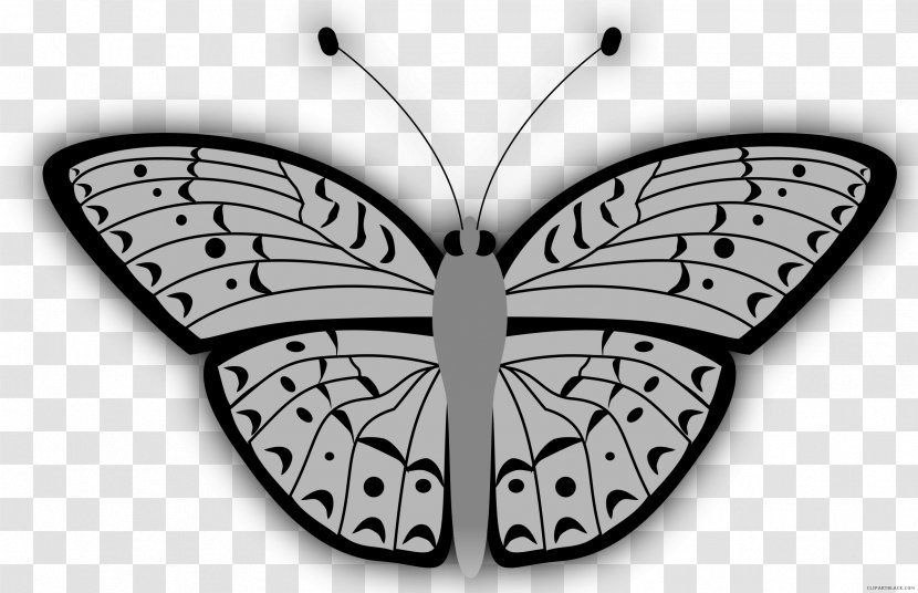Butterfly Insect Vector Graphics Clip Art Brush-footed Butterflies - Brushfooted Transparent PNG