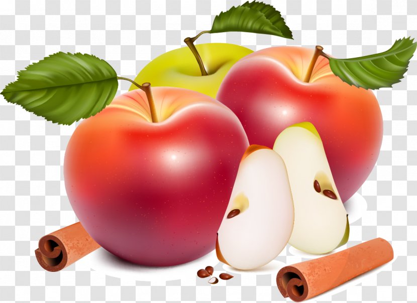 Apple Euclidean Vector Royalty-free Clip Art - Food - Big Transparent PNG