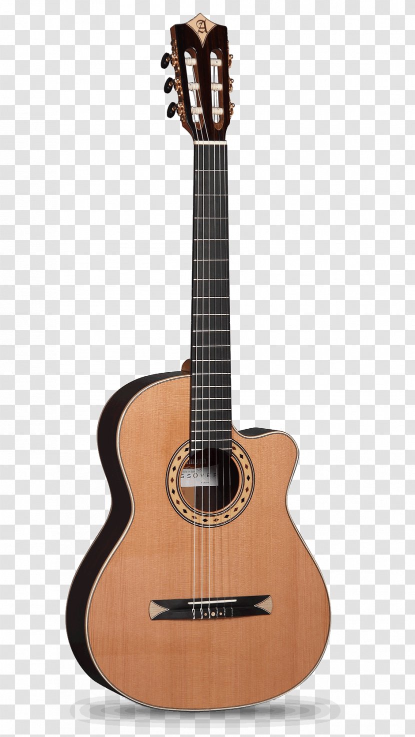 Alhambra Classical Guitar Acoustic Fingerboard - Cartoon - Cedar Transparent PNG