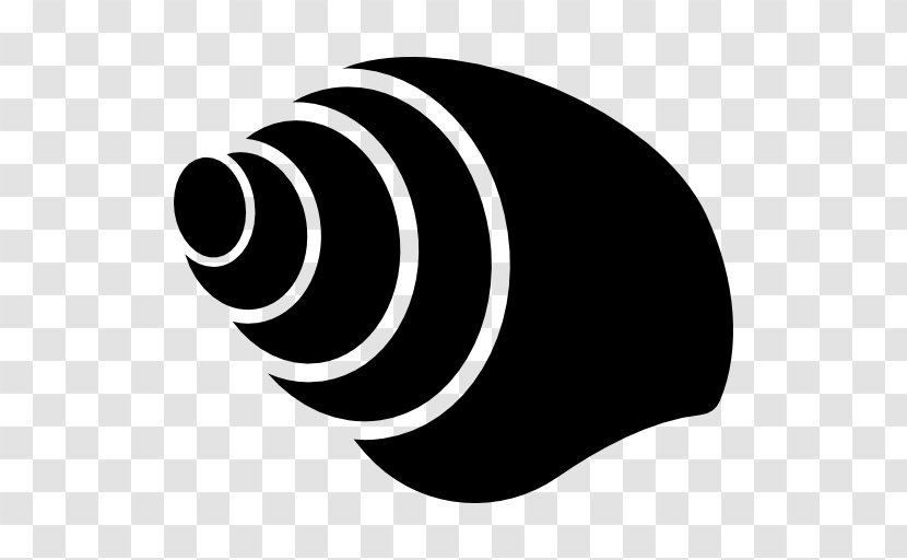 Seashell Conch Snail - Logo Transparent PNG