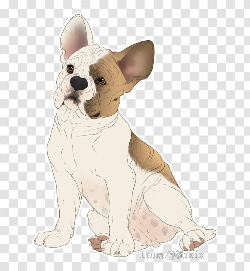 French Bulldog Toy Puppy Dog Breed - Like Mammal - Cute Transparent PNG