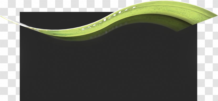 Leaf - Green - Serpentine Transparent PNG