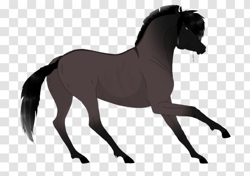 Mustang Pony Foal Stallion Rein Transparent PNG