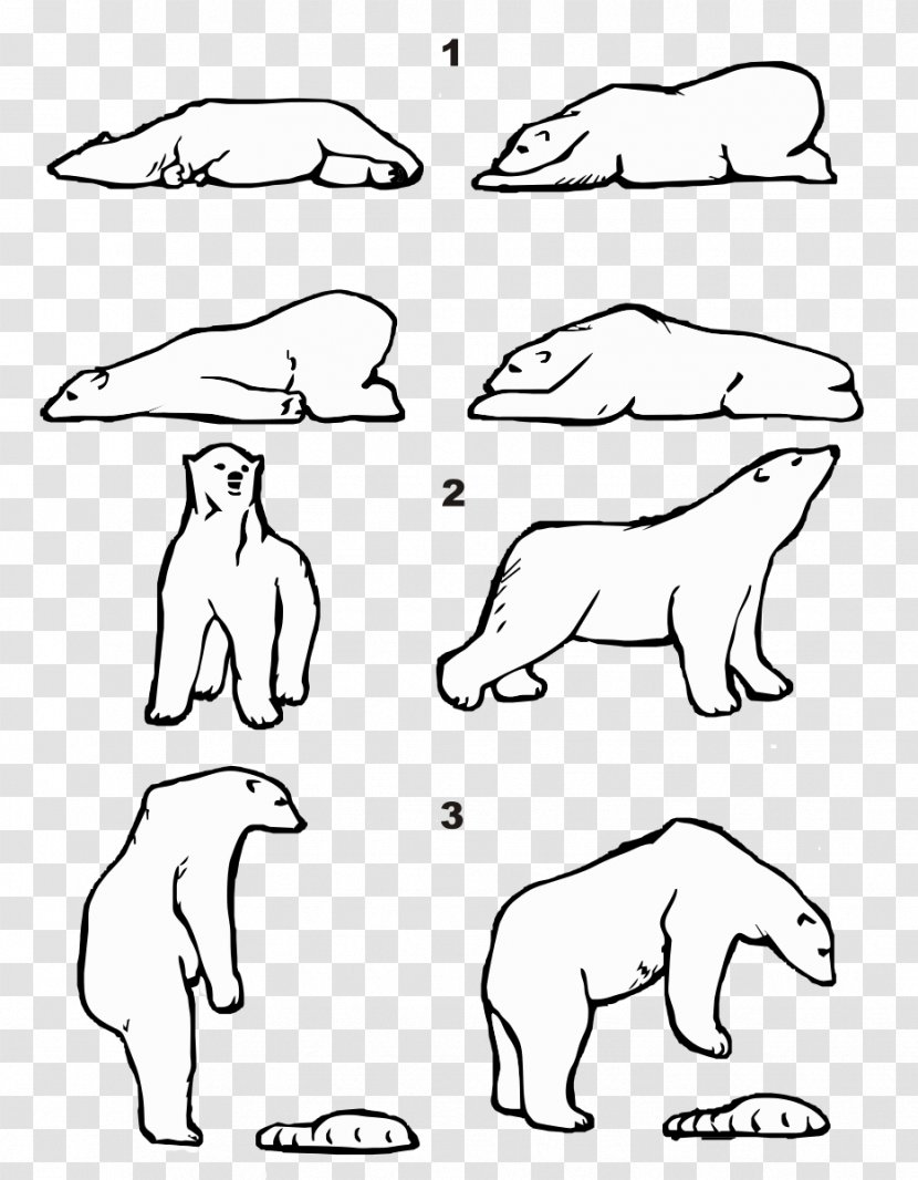 Polar Bear Walrus Regions Of Earth Arctic American Black - Watercolor - Pattern Transparent PNG