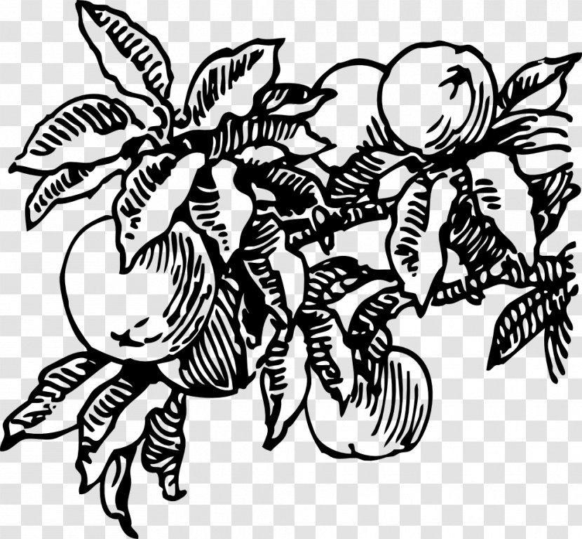 James And The Giant Peach Clip Art - Flowering Plant - Fruit Transparent PNG