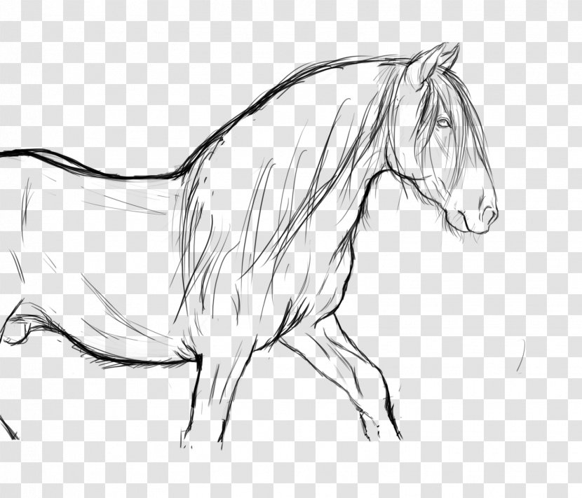 Arabian Horse Line Art Drawing Pony Rearing - Muscle - Unicorn Head Transparent PNG