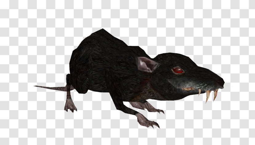 Reptile Terrestrial Animal Snout - Rat Cave Transparent PNG