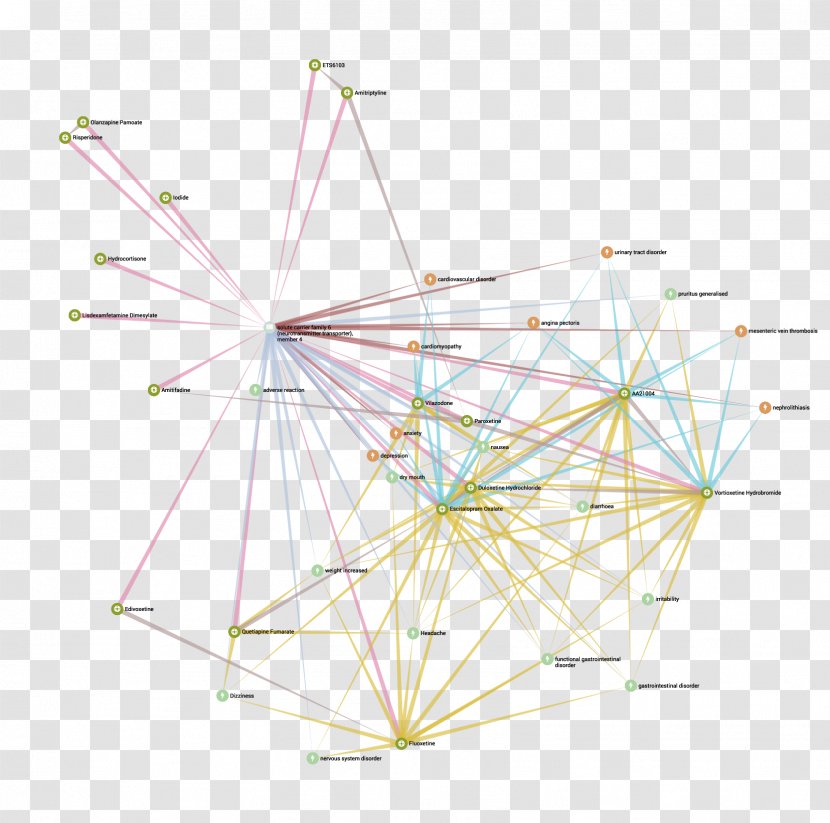 Knowledge Graph Human Phenotype Ontology Science Point - Structure - Bottom View Transparent PNG