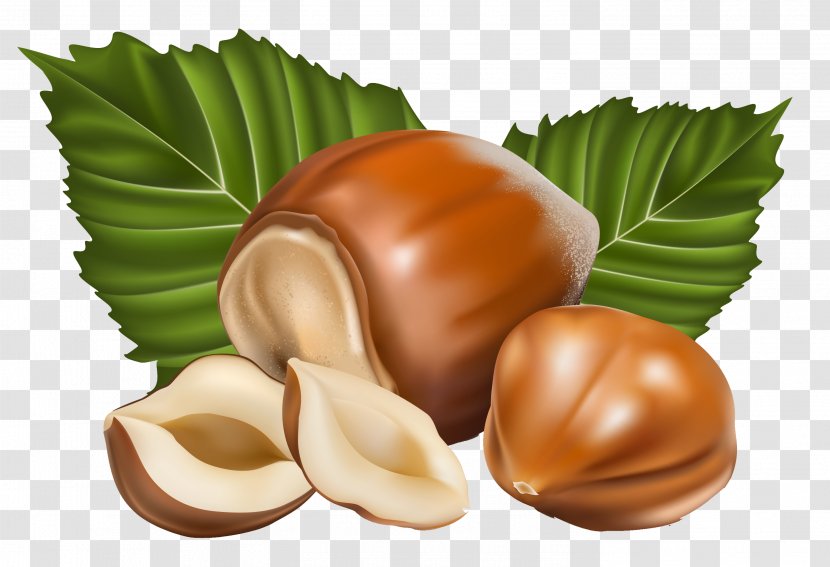 Praline Custard Hazelnut Chocolate Flavor - Fruit - Cliparts Transparent PNG