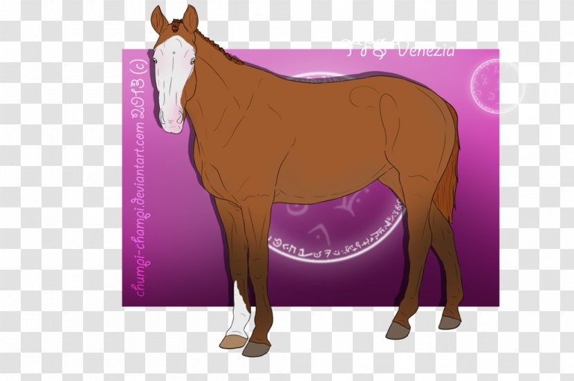 Mule Foal Mustang Stallion Mare Transparent PNG